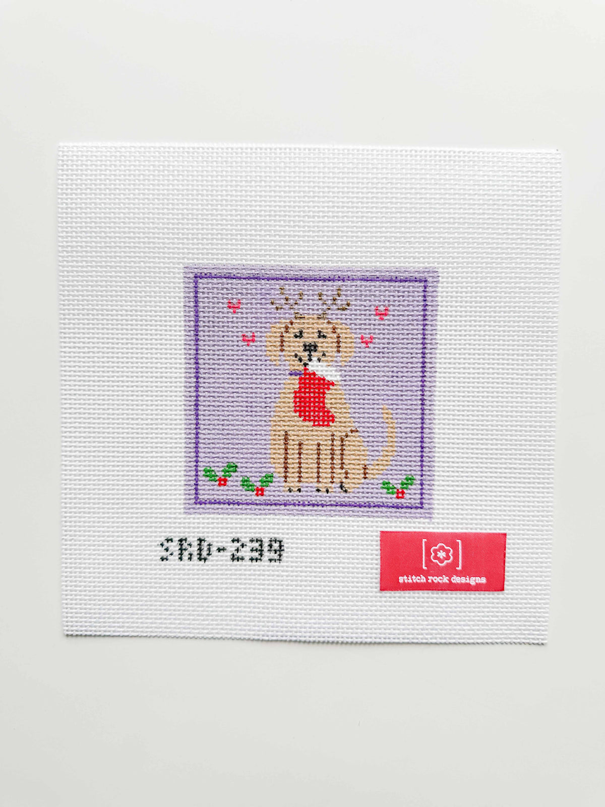 Coming Soon: Stocking Pup