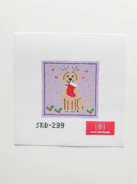 Coming Soon: Stocking Pup