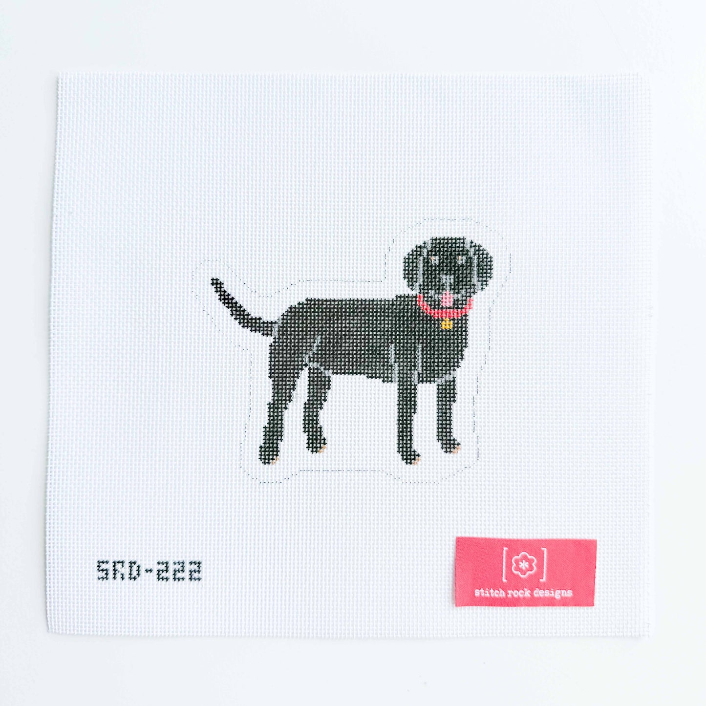 Black Lab
