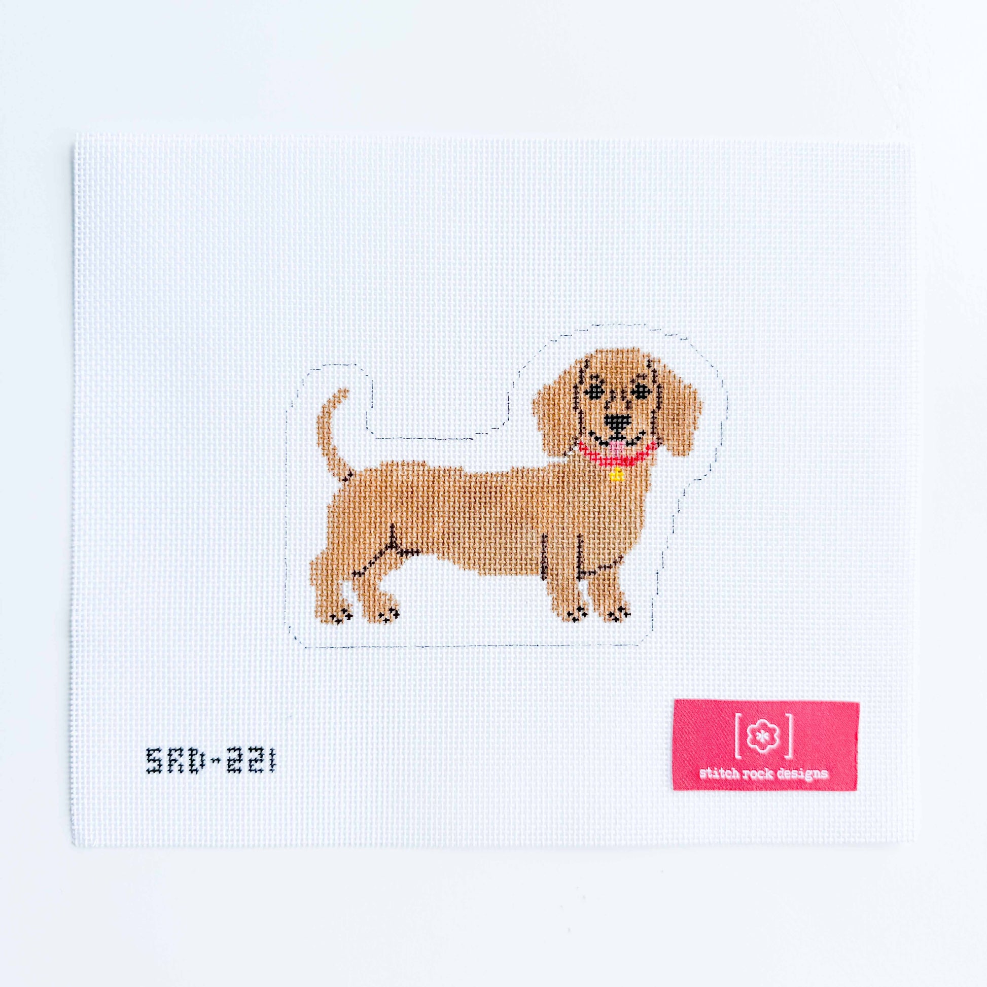 Dachshund