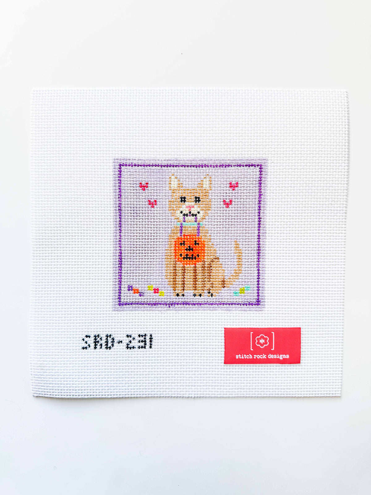 Coming Soon: Trick-or-Treat Cat