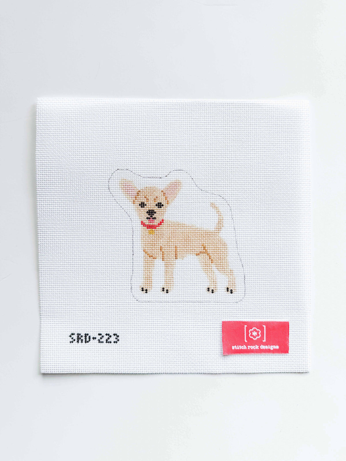 Chihuahua